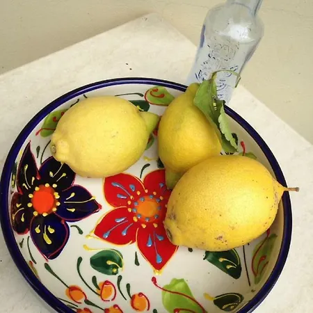 Frühstückspension B&B Finca La Luna Azul